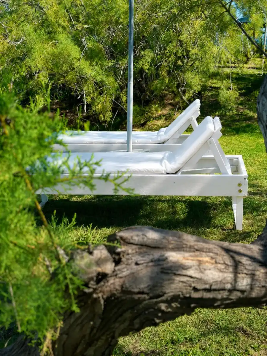 Private beach loungers in the garden shade