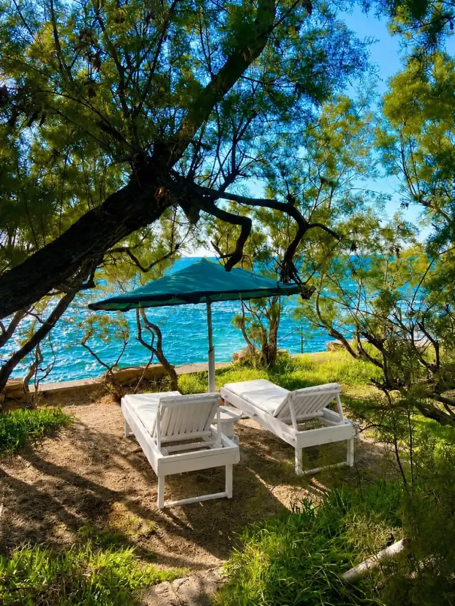 Private beach loungers shaded by trees