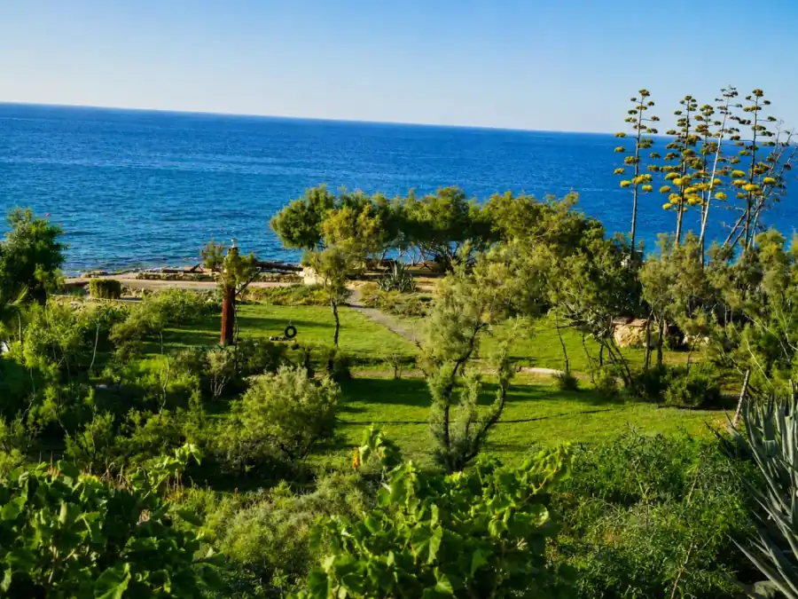 Garden lawn facing the sea